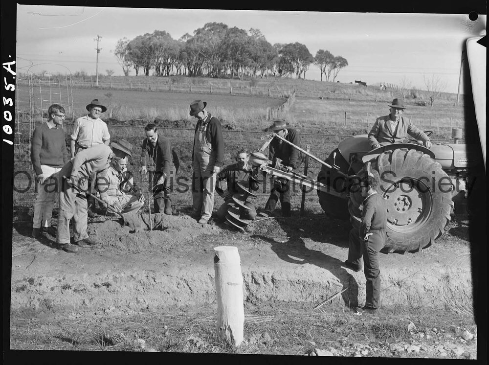 Tree planting at Millthorpe