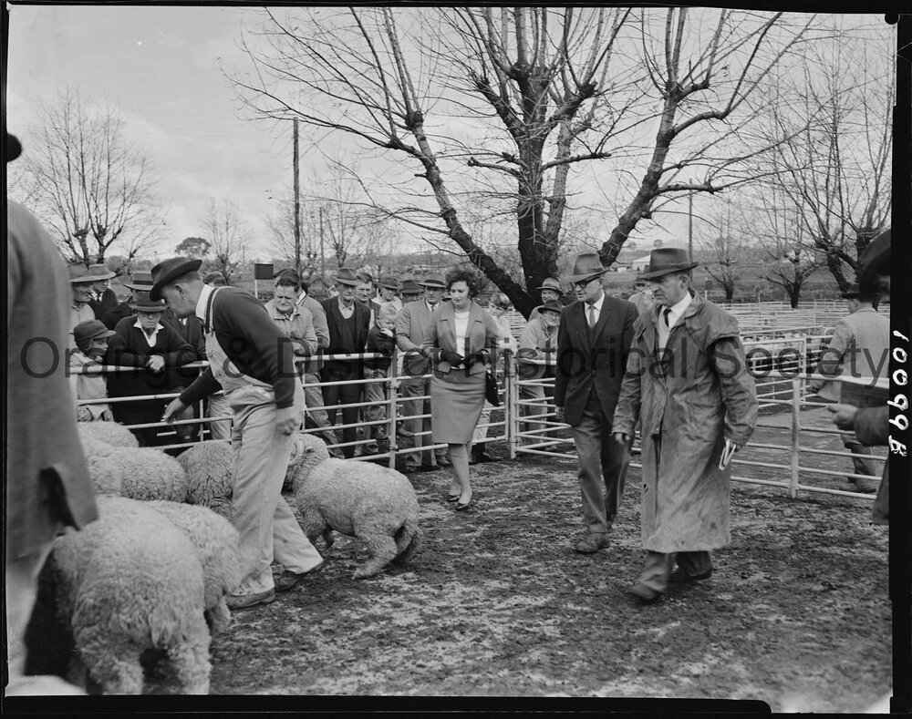 Cherry Blossom Queen candidate