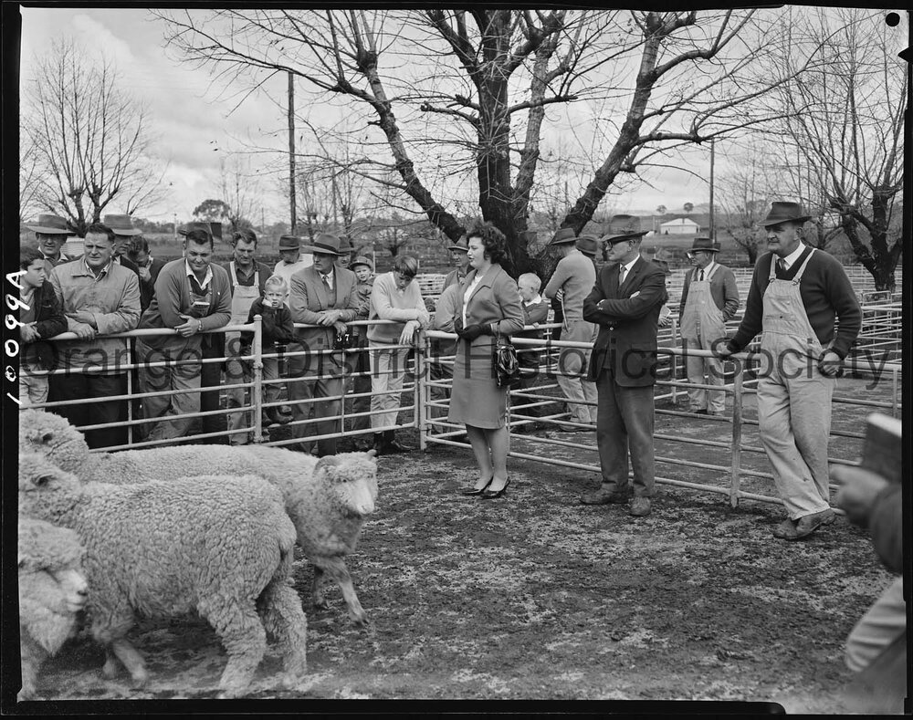 Cherry Blossom Queen candidate