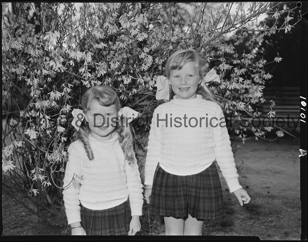 Spring blossoms in Cook Park