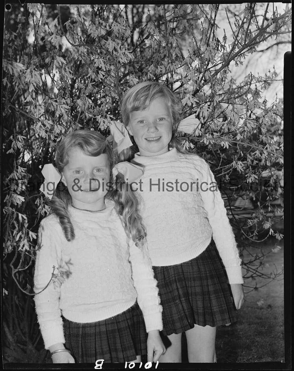 Spring blossoms in Cook Park