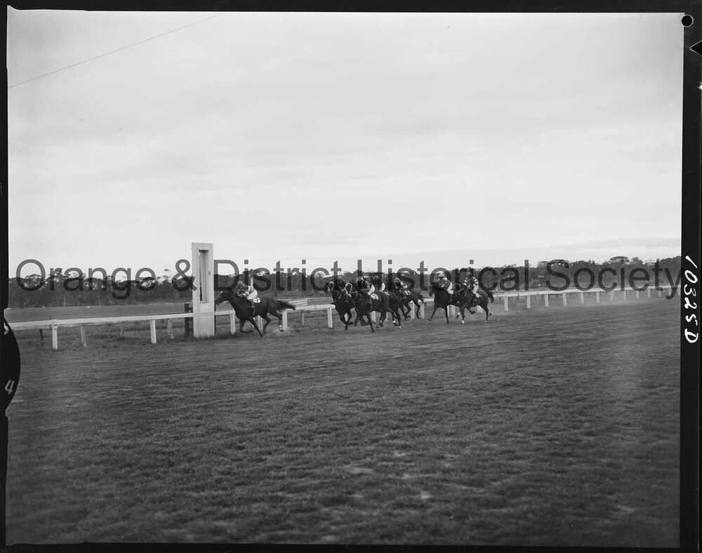 Melbourne Cup Day Races