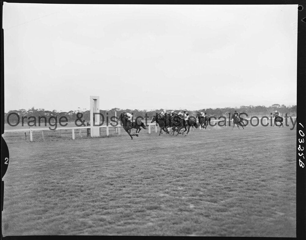 Melbourne Cup Day Races