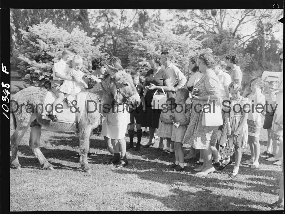 Bloomfield Hospital fete