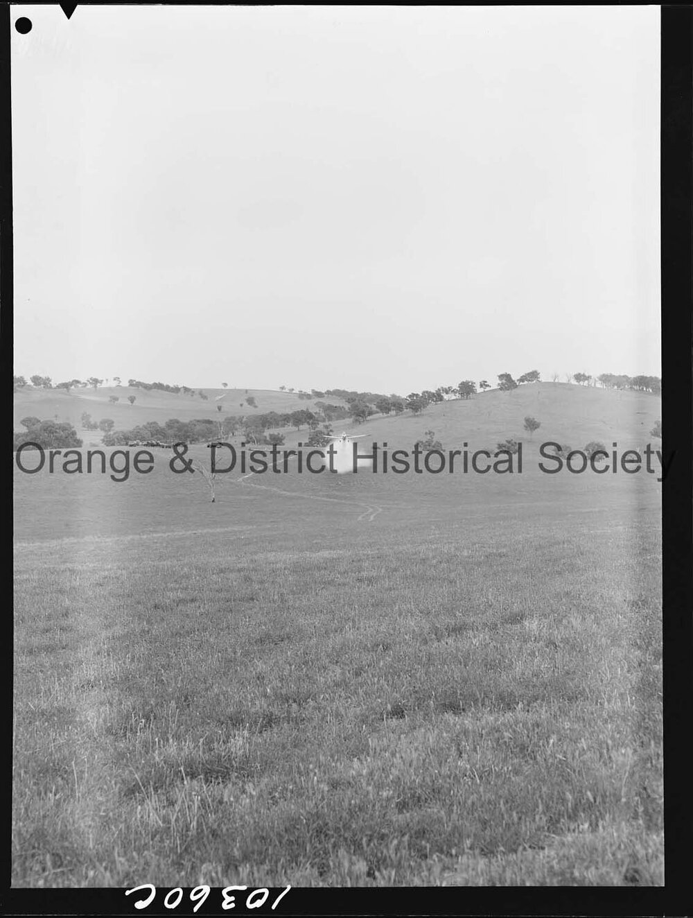 Fighting bushfires from the air