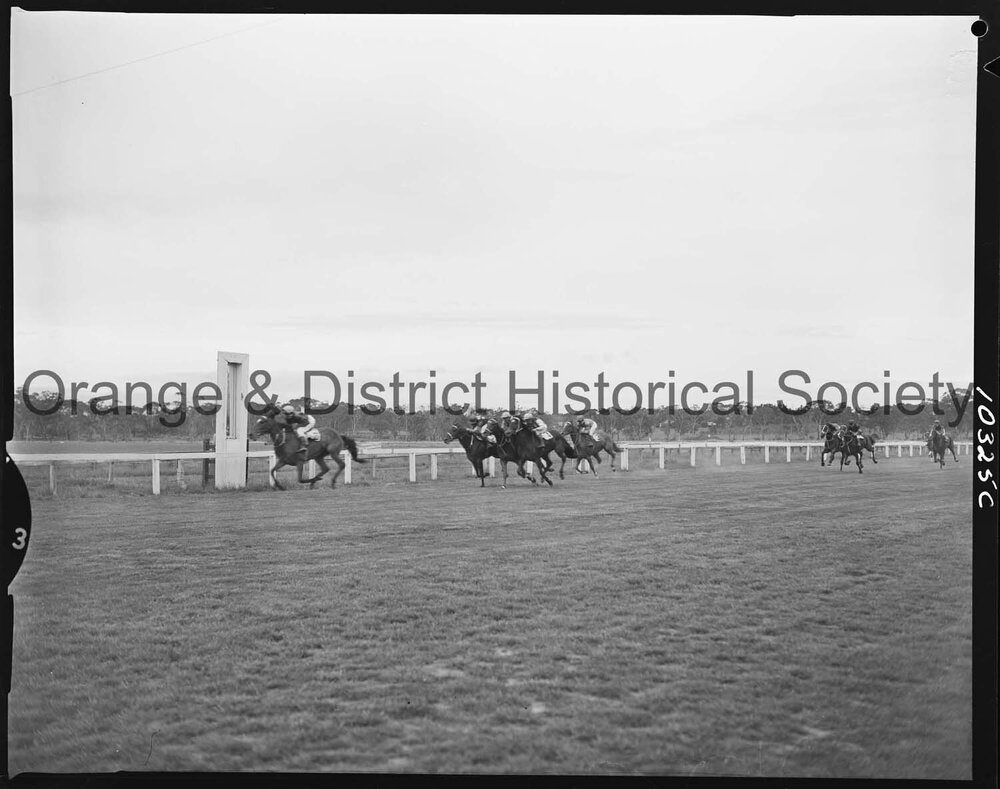 Melbourne Cup Day Races