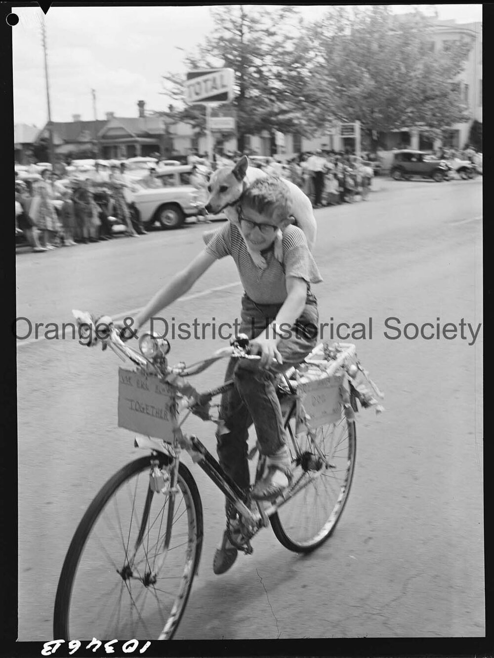 Cherry Blossom procession