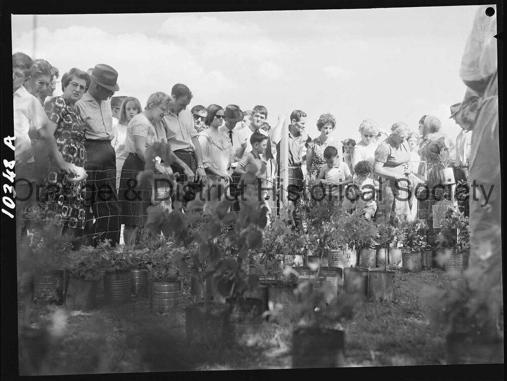 Bloomfield Hospital fete