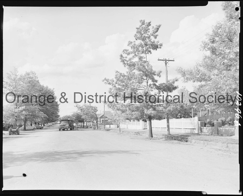 Tree pruning for new power line