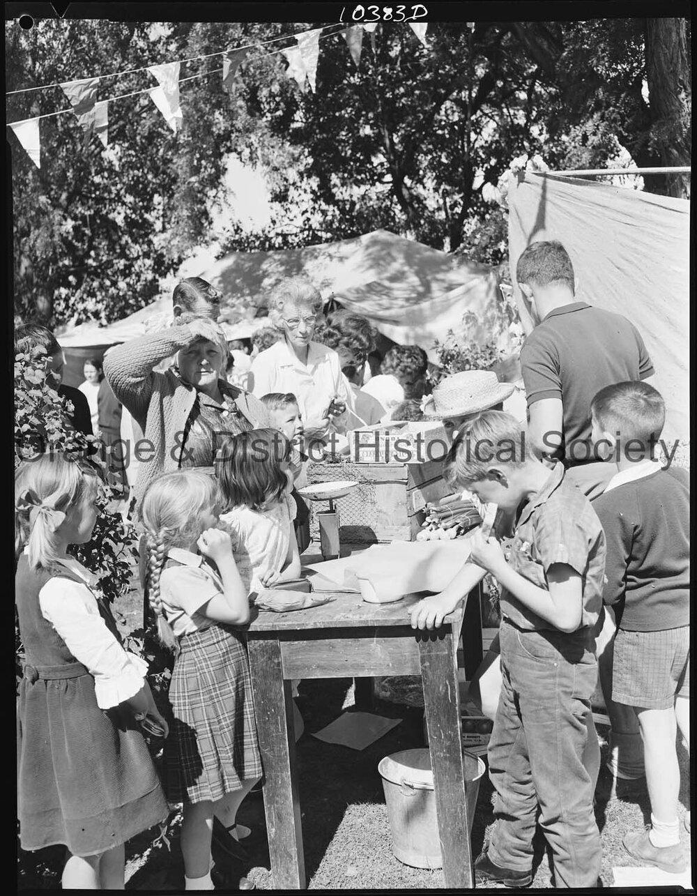 Buena Vista fete