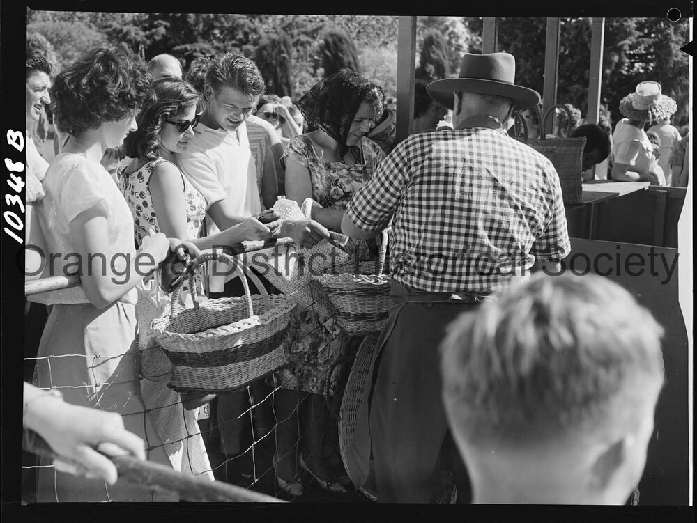 Bloomfield Hospital fete