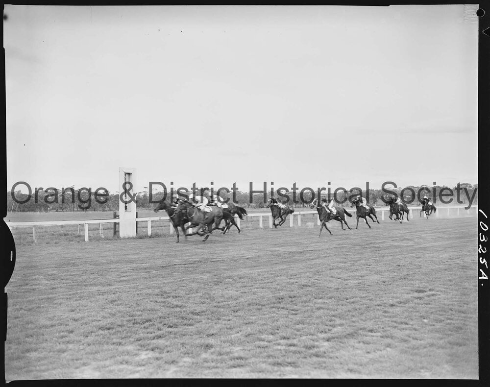 Melbourne Cup Day Races