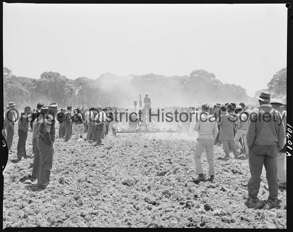 Orange National Field Days