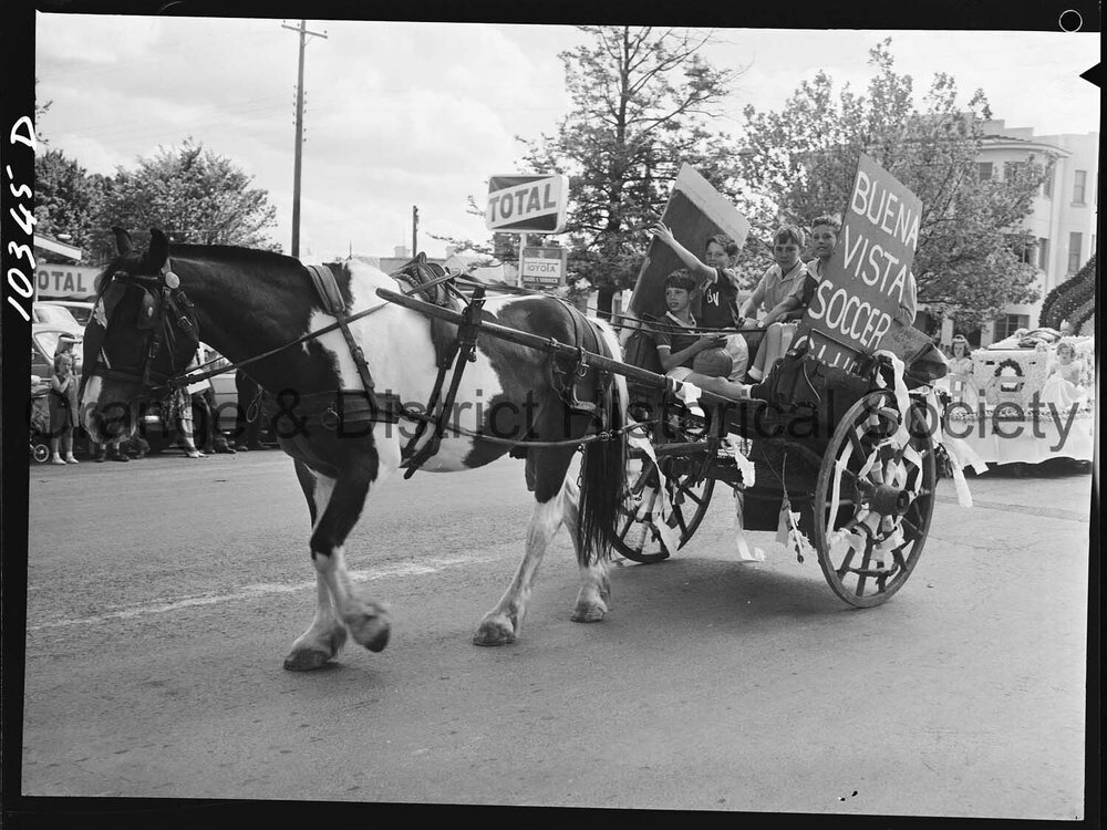 Cherry Blossom procession