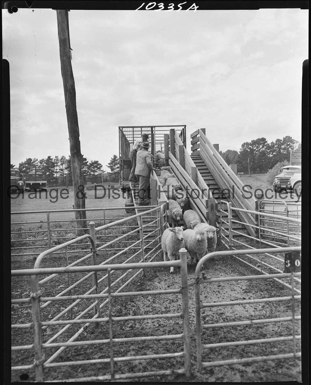Orange Saleyards