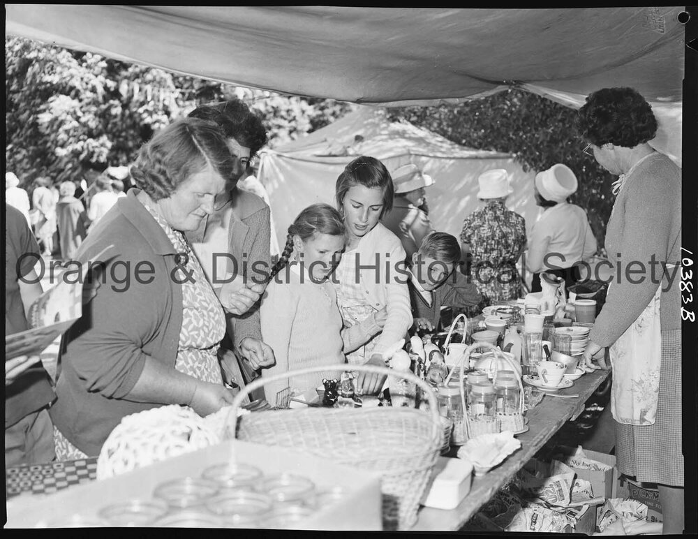 Buena Vista fete