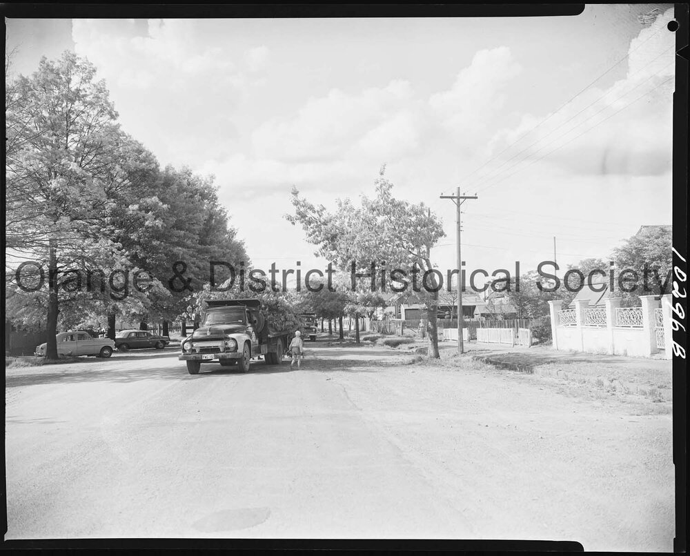 Tree pruning for new power line