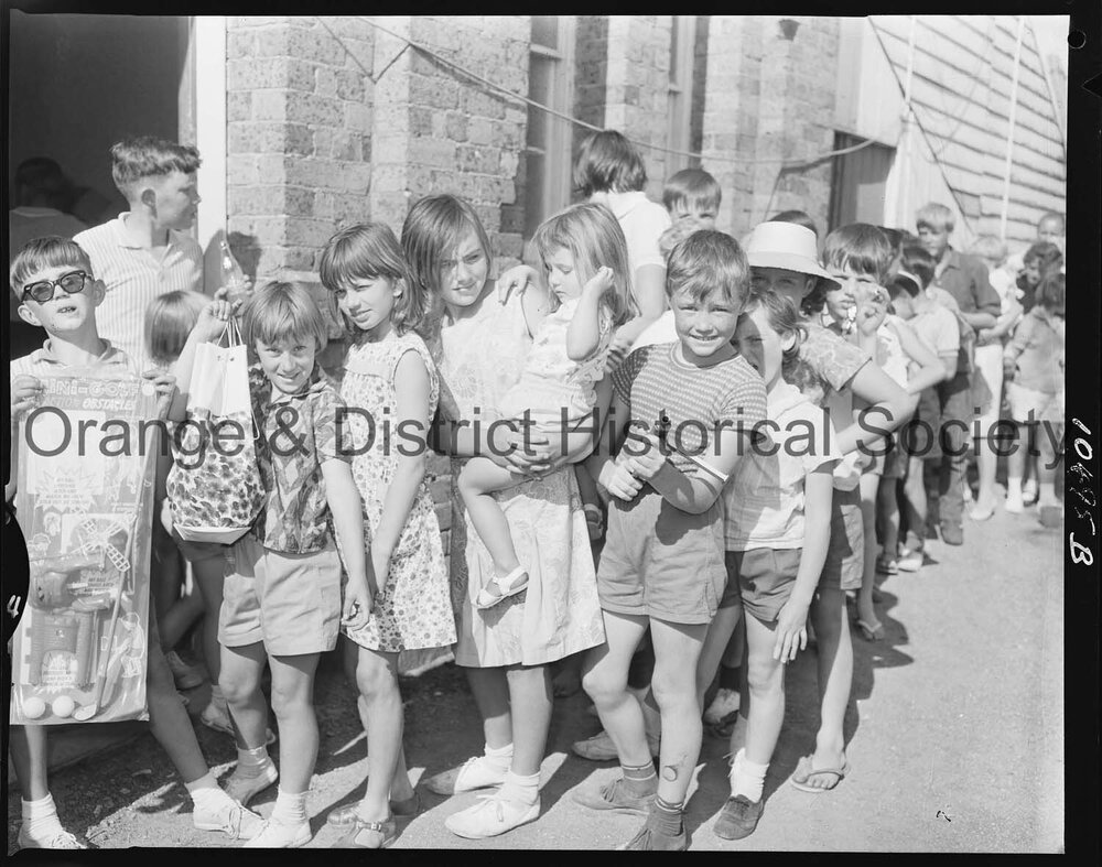 Ophir County Council Christmas picnic