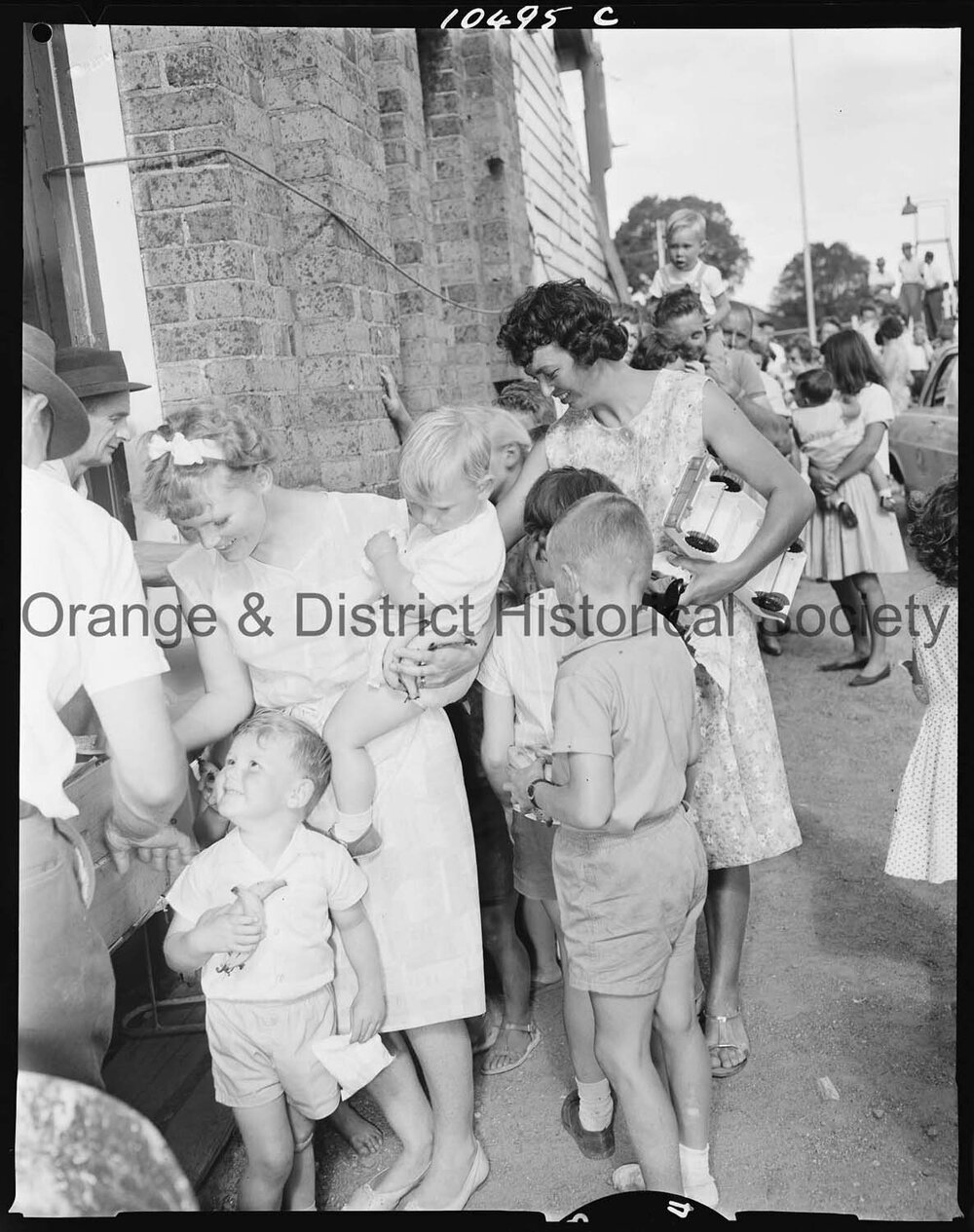 Ophir County Council Christmas picnic
