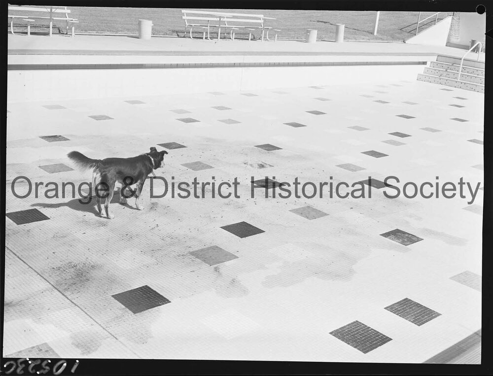 Filling the Olympic pool