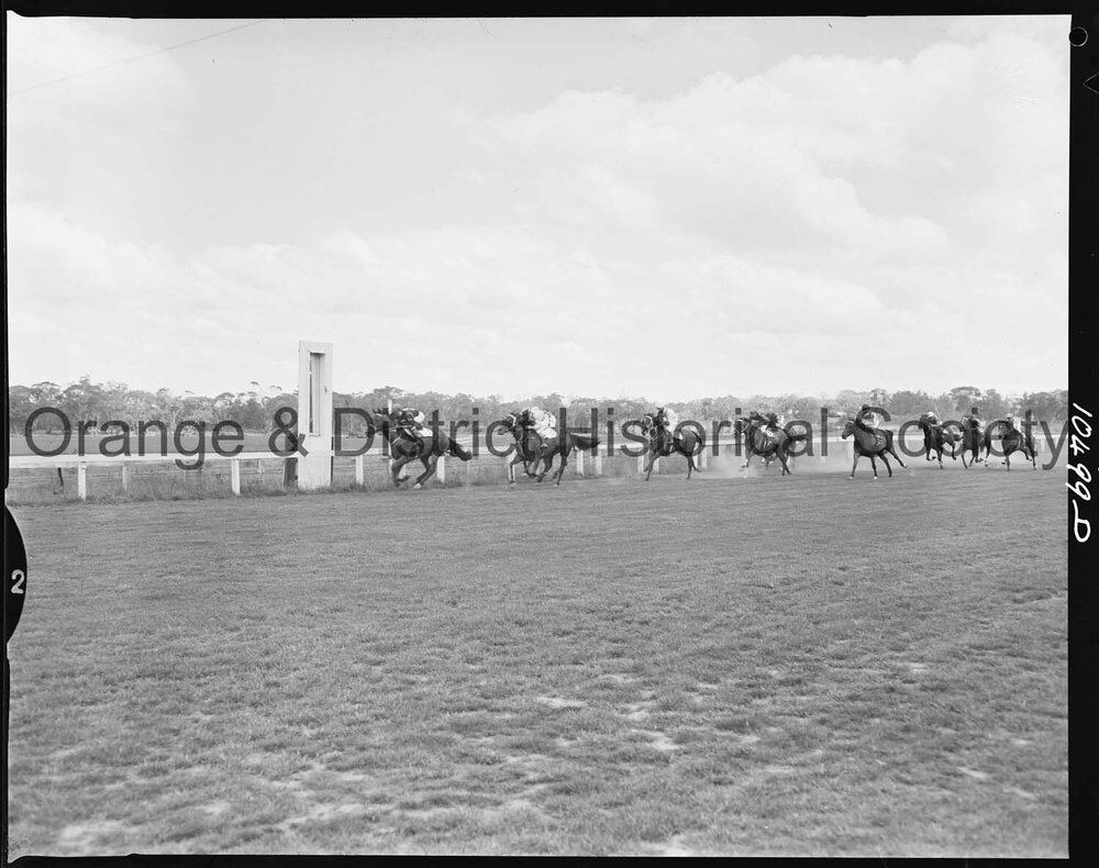 Orange race finishes