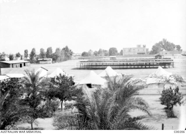 Near Headquarters at Tel el Kebir camp, between Cairo and the Suez Canal, May 1916