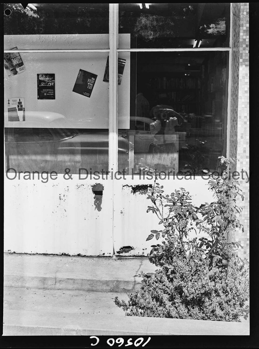 Rust at Orange City Library