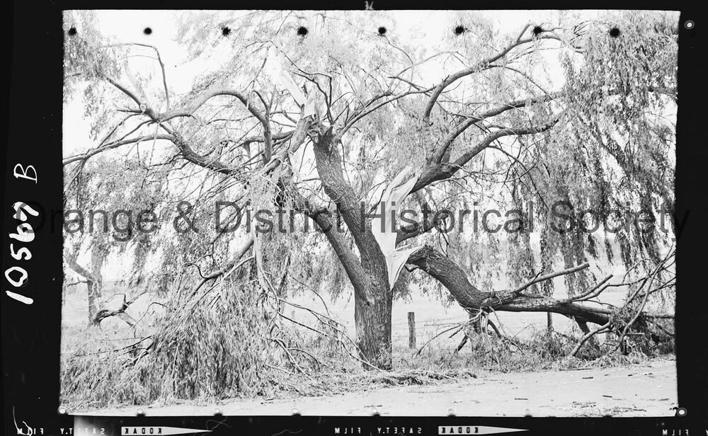 Storm debris
