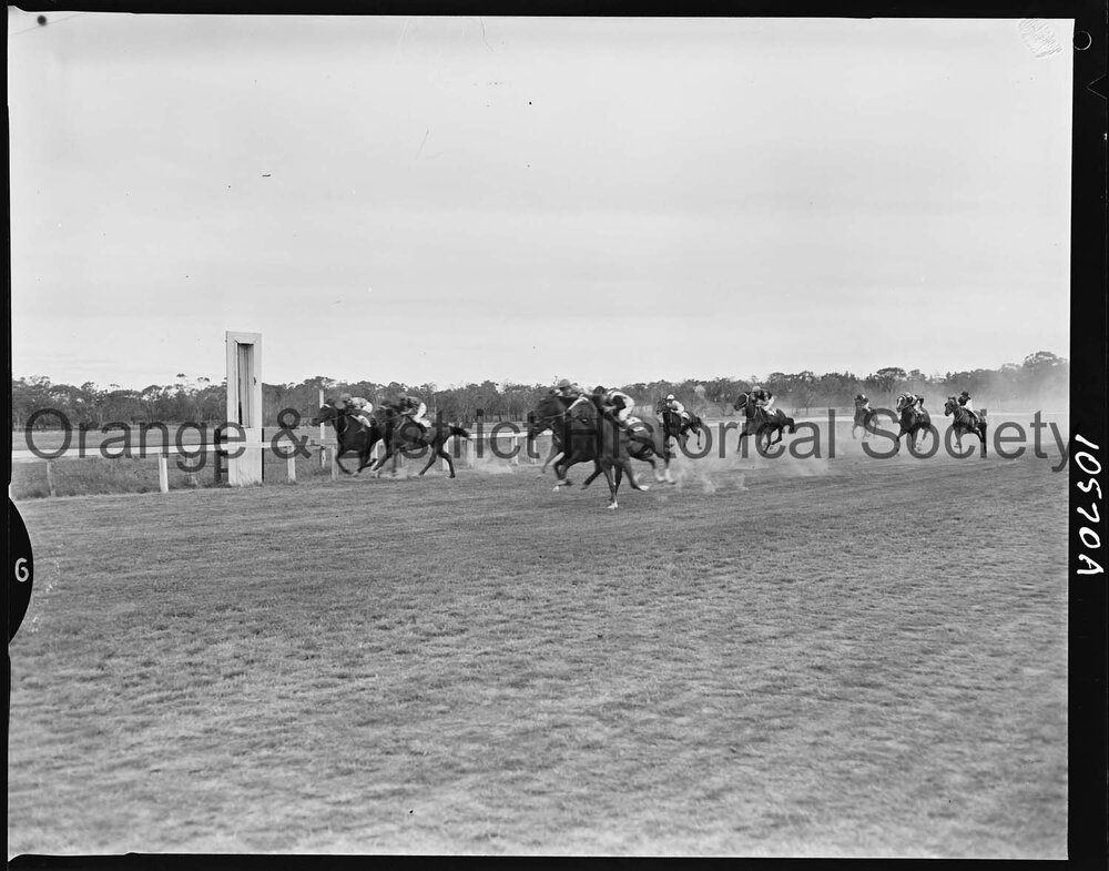 New Year's Day race meeting