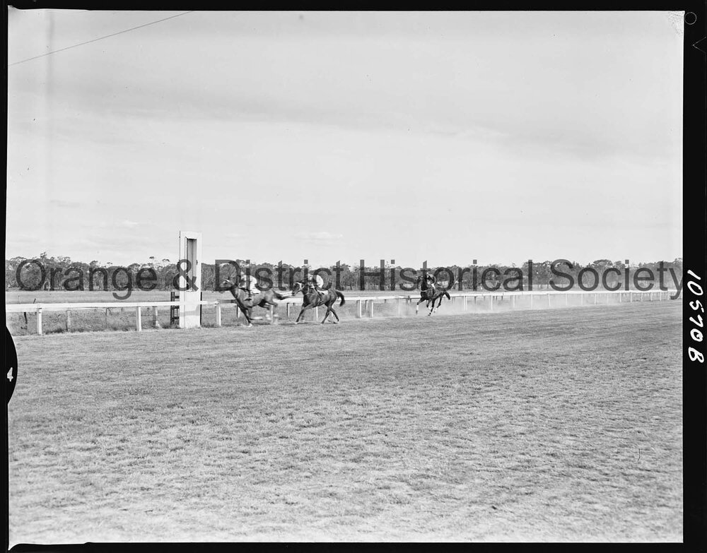 New Year's Day race meeting