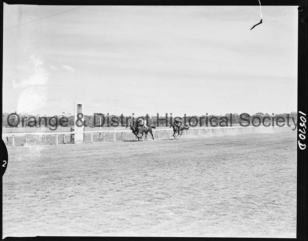 New Year's Day race meeting