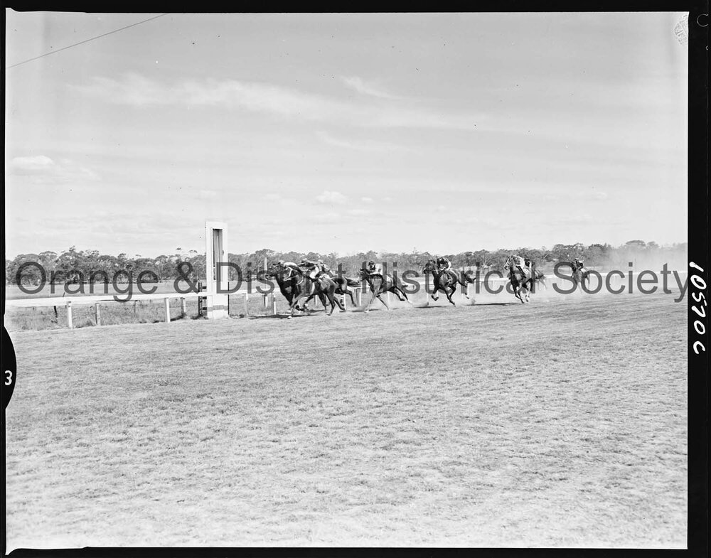 New Year's Day race meeting