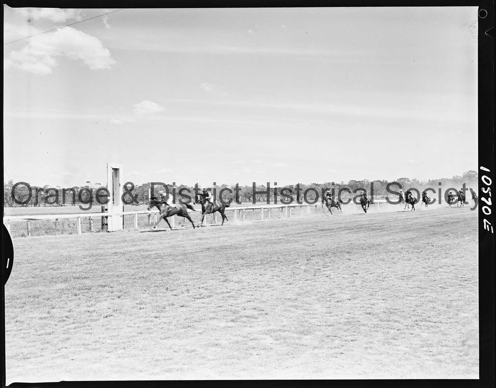 New Year's Day race meeting