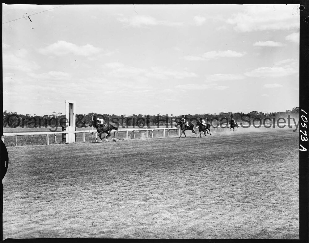New Year's Day race meeting second day