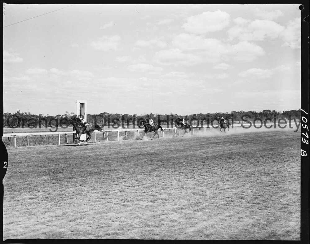 New Year's Day race meeting second day