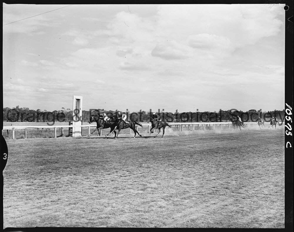 New Year's Day race meeting second day