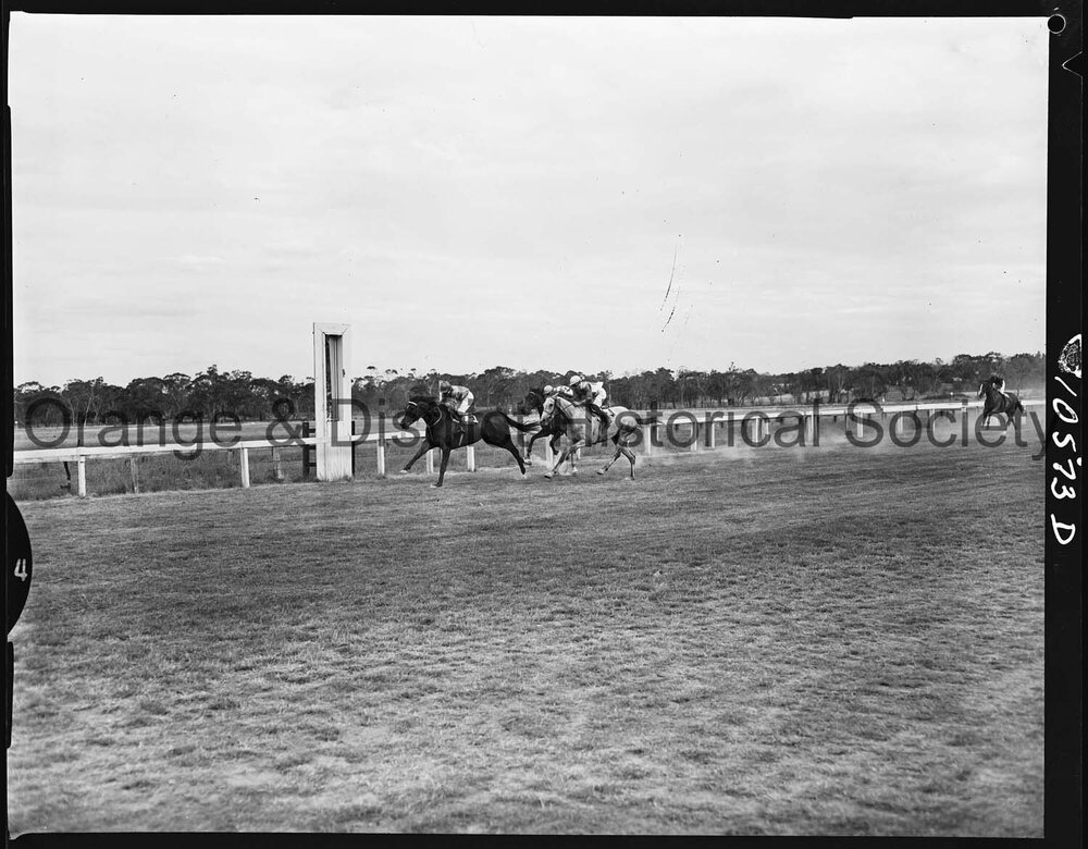 New Year's Day race meeting second day