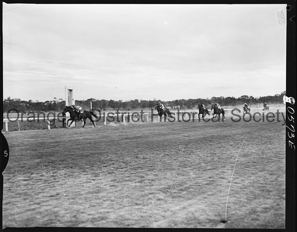 New Year's Day race meeting second day