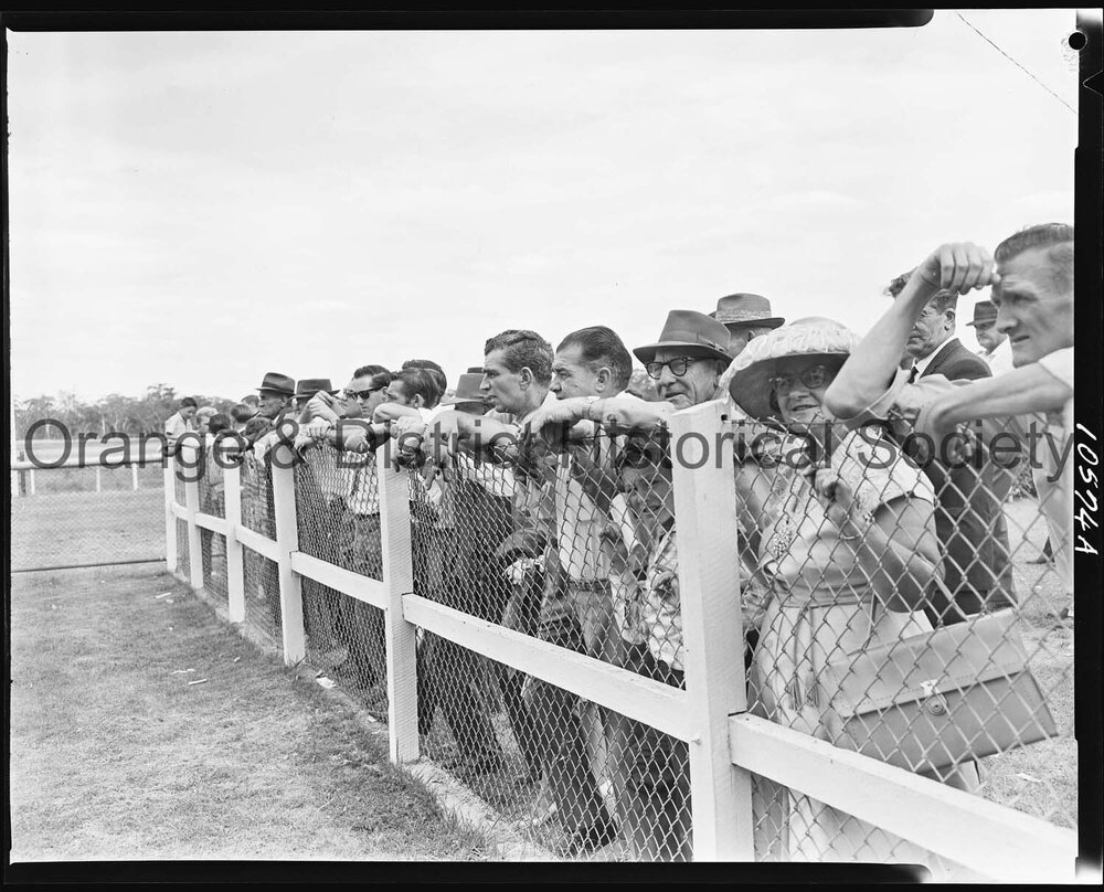 New Year's Day race meeting second day