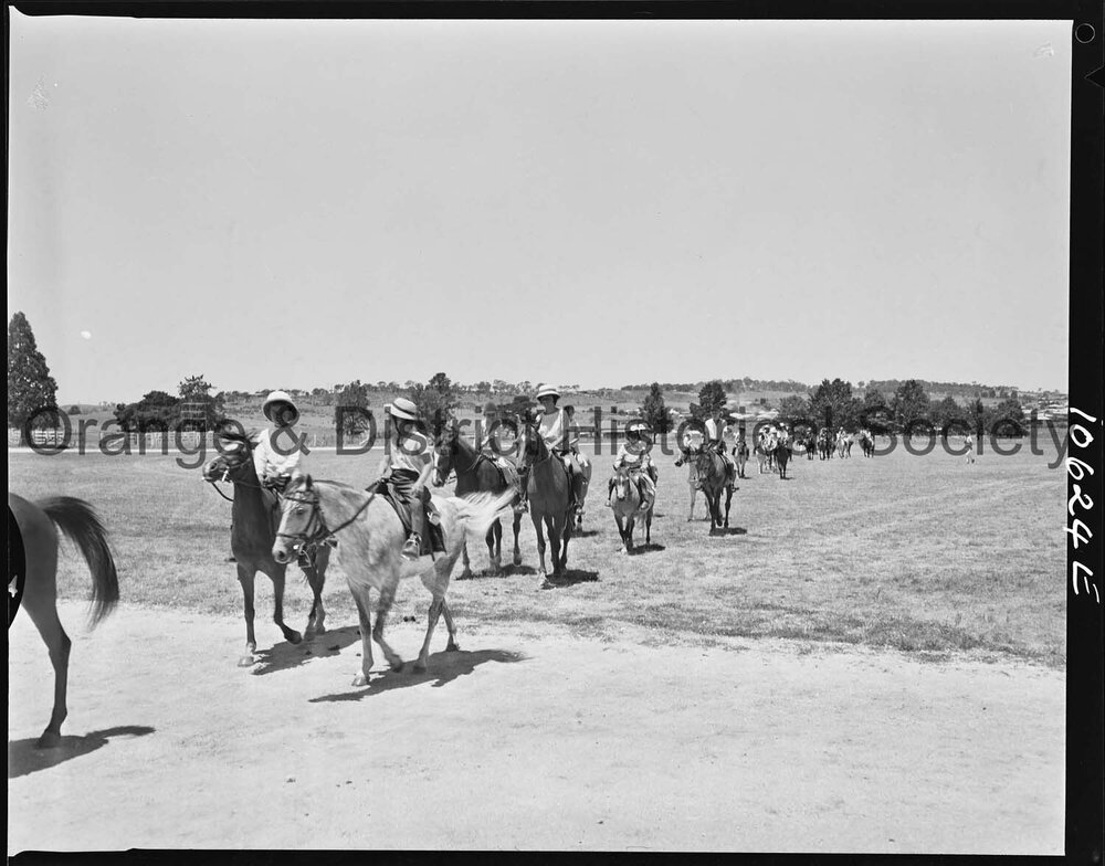 Pony Club camp