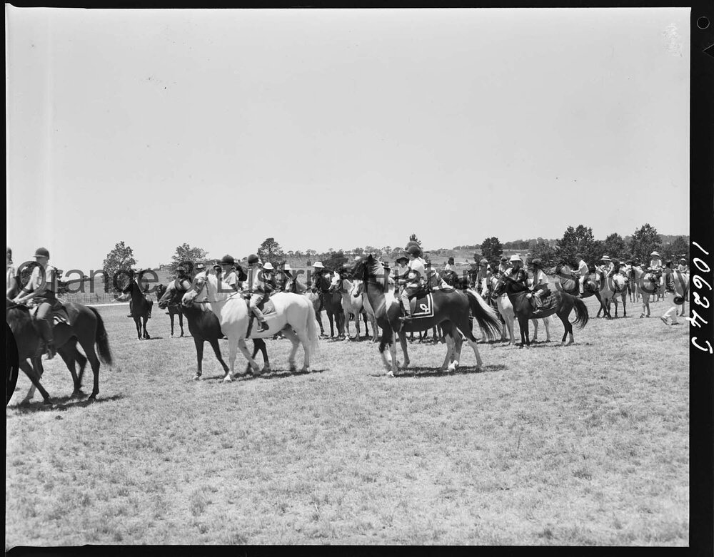 Pony Club camp