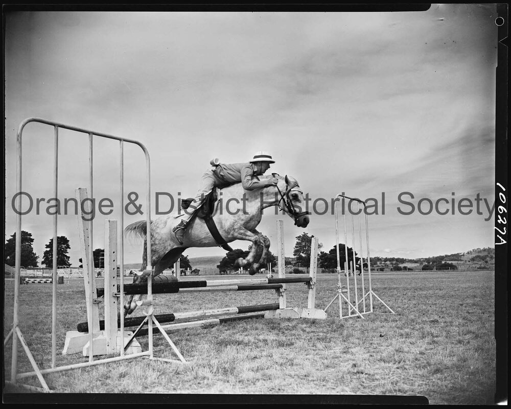 Pony Club camp
