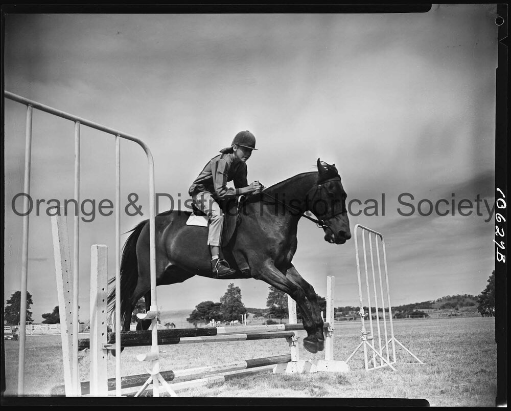 Pony Club camp