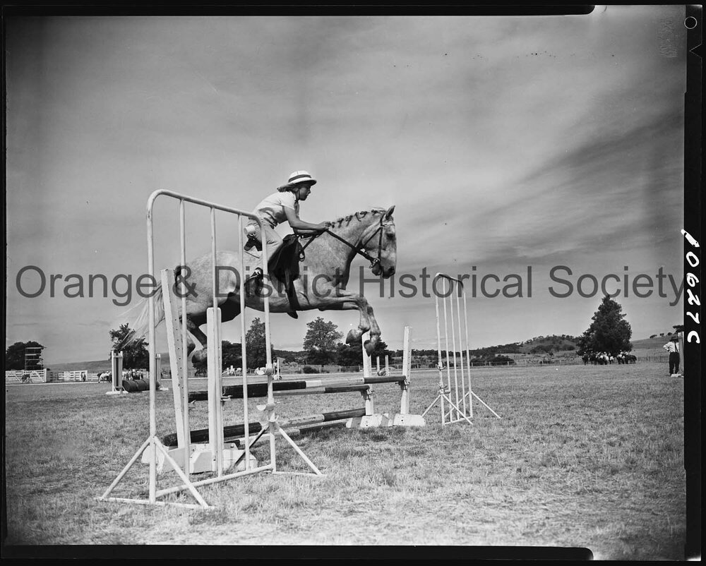 Pony Club camp