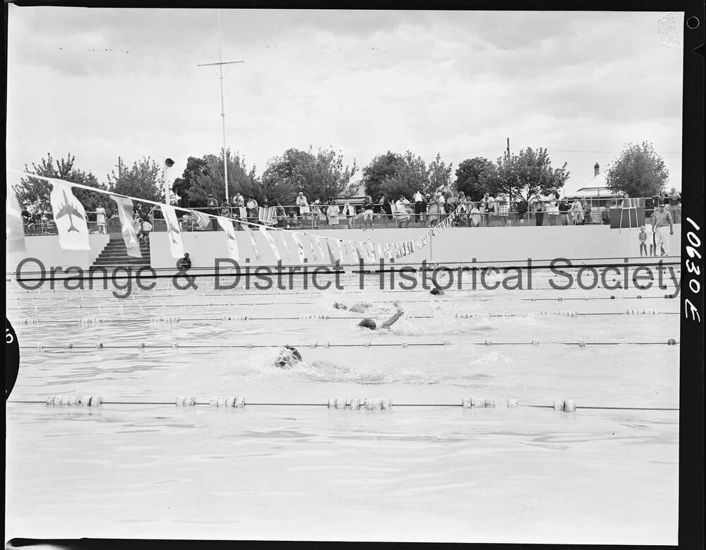 Swimming carnival