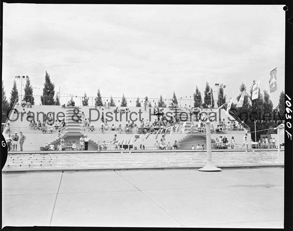 Swimming carnival