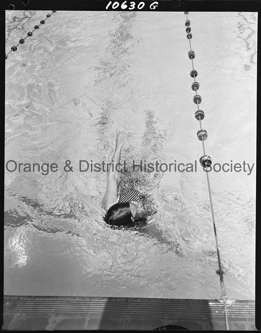 Swimming carnival