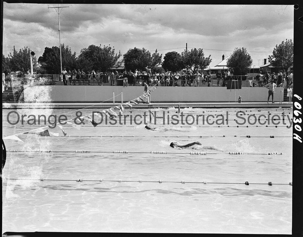 Swimming carnival