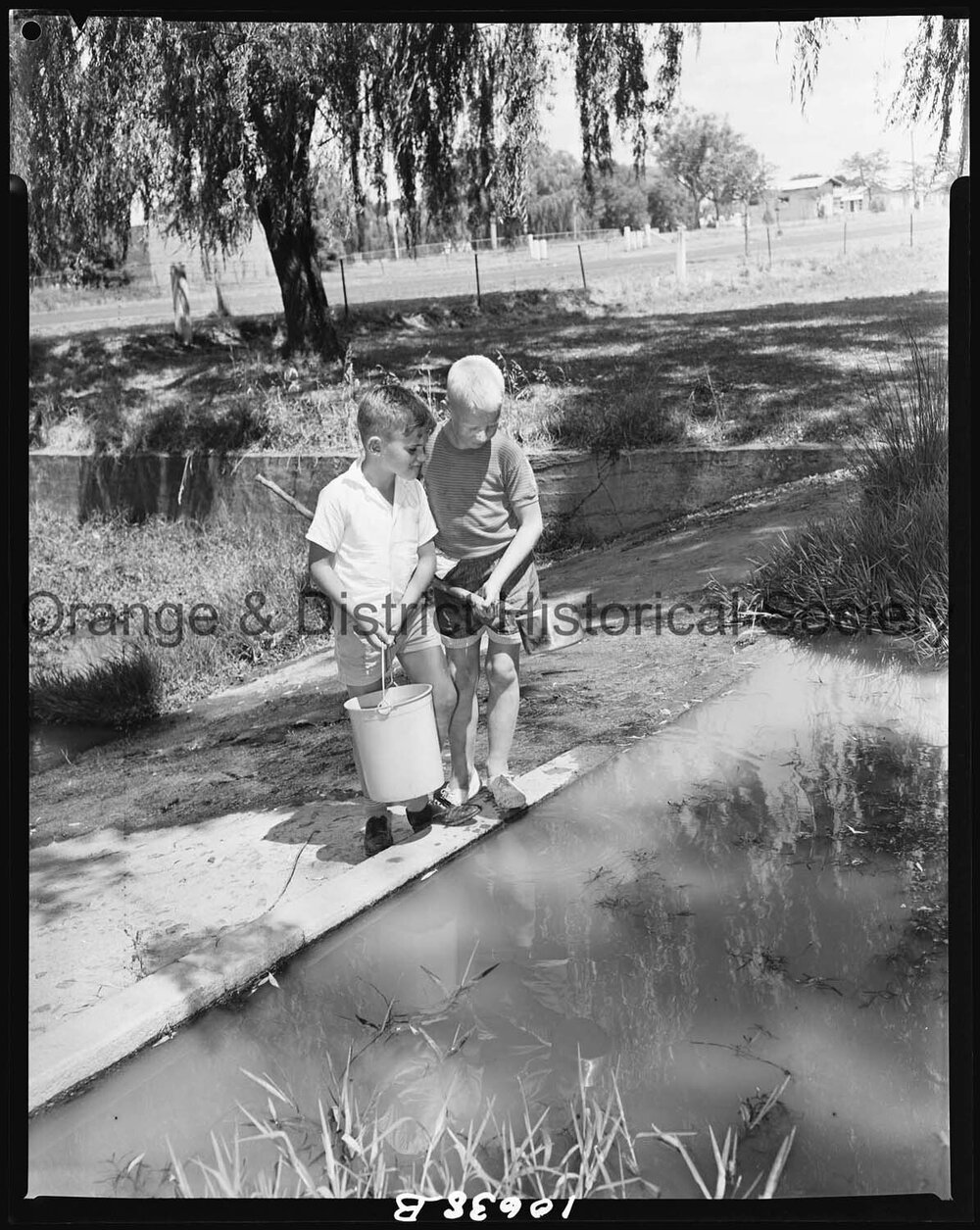 Tadpole collecting