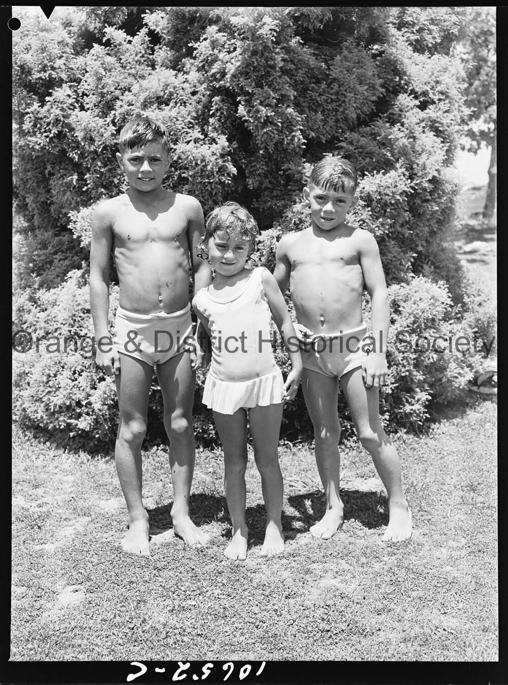 Swimming school graduation